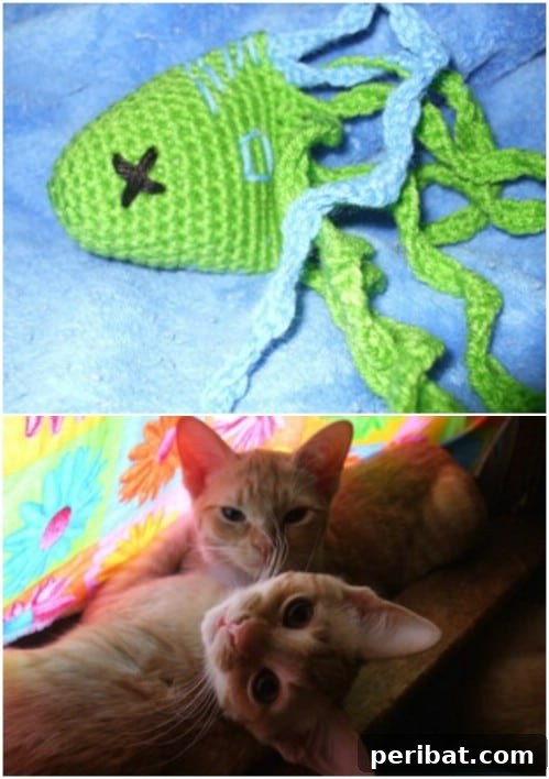 Hook, Line, & Purr: 25 Easy Crochet Projects for Cats 25 Cute Seasick Crochet Cat Toy