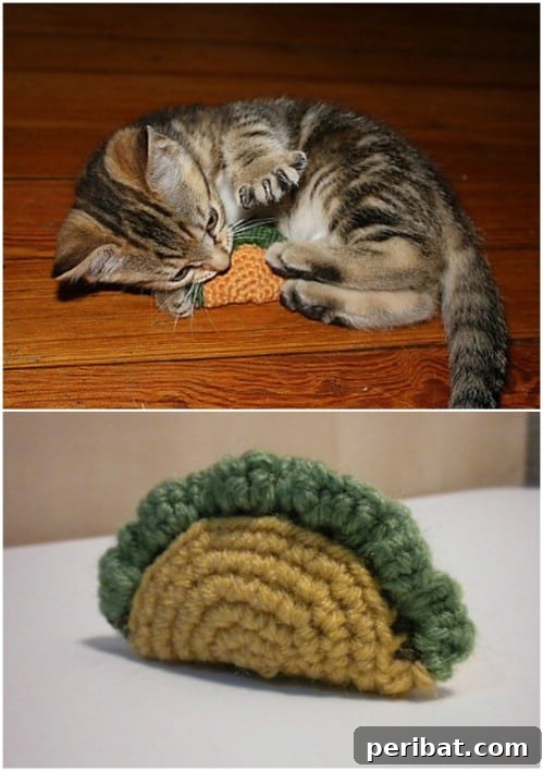 Hook, Line, & Purr: 25 Easy Crochet Projects for Cats 27 Adorable Taco Crochet Cat Toy