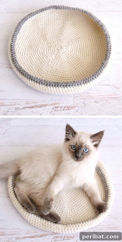 Hook, Line, & Purr: 25 Easy Crochet Projects for Cats 5 Simple Crochet Cat Bed