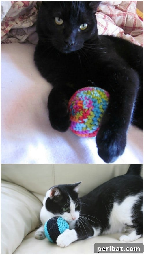 Hook, Line, & Purr: 25 Easy Crochet Projects for Cats 6 Big Crochet Ball Of Yarn