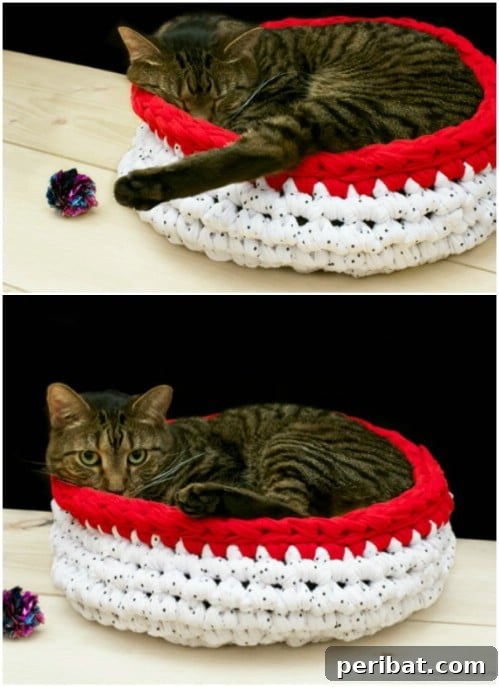 Hook, Line, & Purr: 25 Easy Crochet Projects for Cats 8 Bulky Crocheted Cat Bed