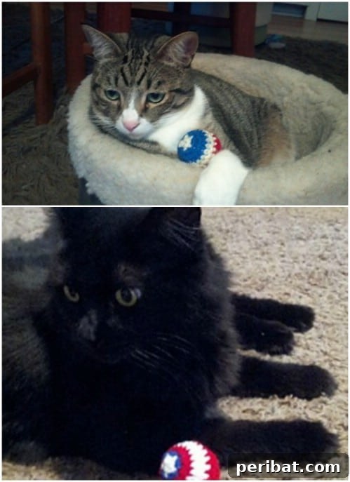 Hook, Line, & Purr: 25 Easy Crochet Projects for Cats 9 Easy Crochet Captain American Shield Cat Toy