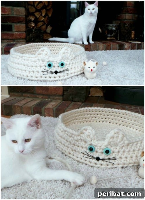 Hook, Line, & Purr: 25 Easy Crochet Projects for Cats 10 Cat’s Cradle Crochet Bed