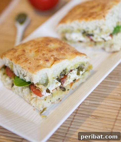 Homemade Roasted Tomato and Mozzarella Panini