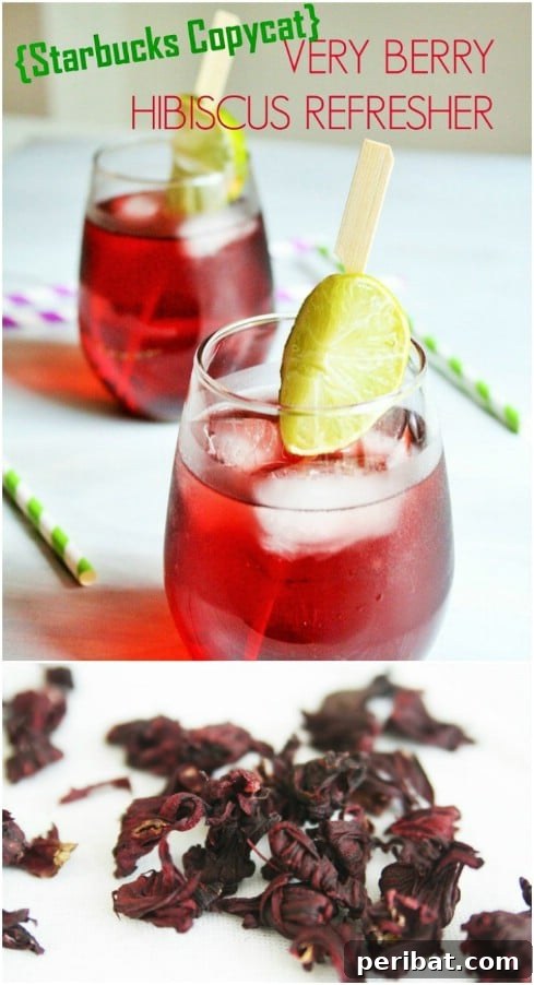 Homemade Very Berry Hibiscus Refresher