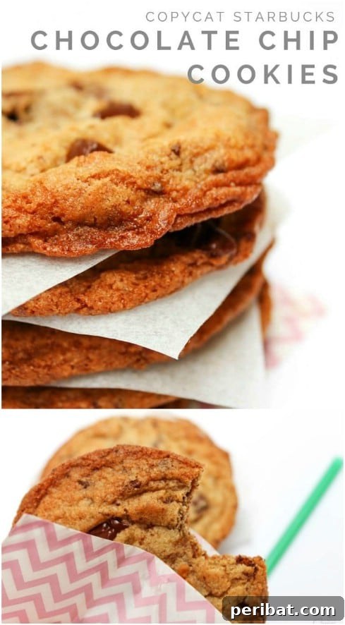 Homemade Chocolate Chip Cookies