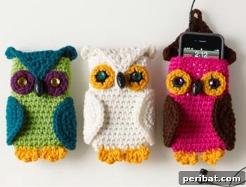 Cute Crochet Owl Cell Phone Cozy