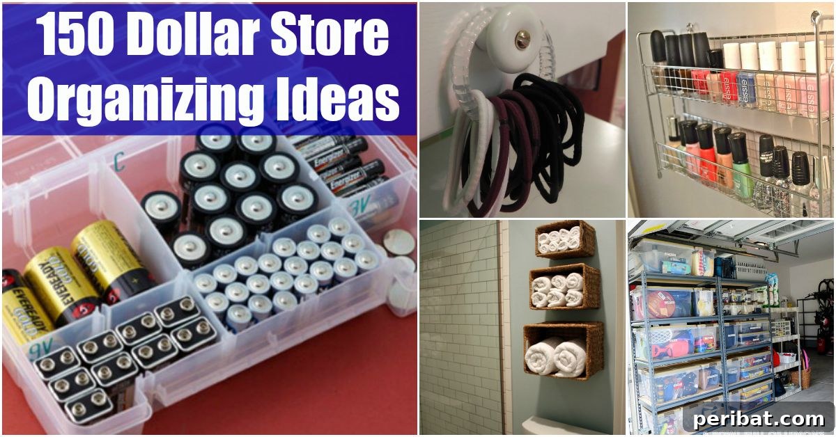 dollar store organizing ideas