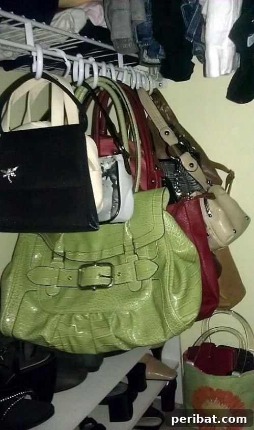 Store Purses on Shower Hooks - 150 Dollar Store Organizing Ideas and Projects for the Entire Home