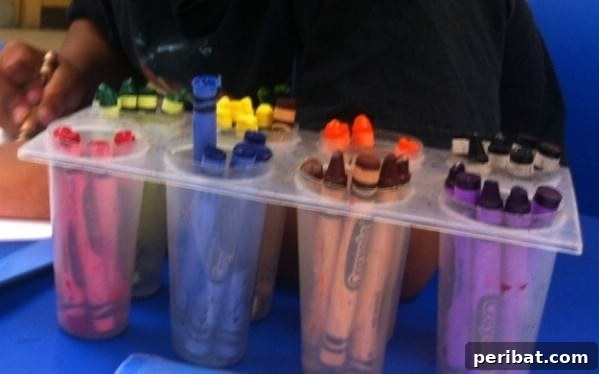 Crayon Organization with Popsicle Trays - 150 Dollar Store Organizing Ideas and Projects for the Entire Home