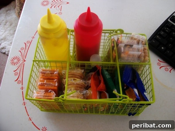 Organize Your Road Trips - 150 Dollar Store Organizing Ideas and Projects for the Entire Home