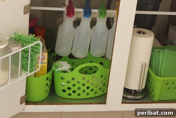 Organize Under the Kitchen Sink - 150 Dollar Store Organizing Ideas and Projects for the Entire Home