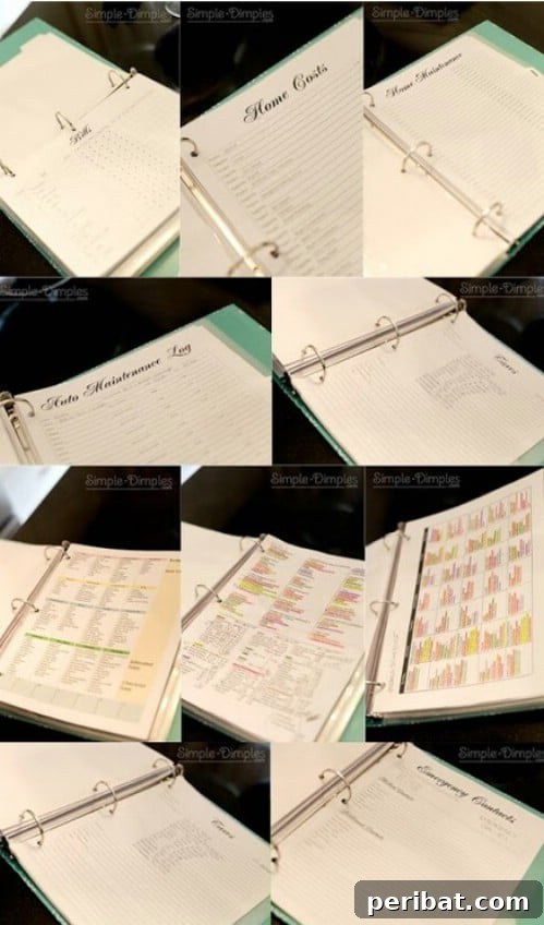 Binders for Keeping Papers Organized - 150 Dollar Store Organizing Ideas and Projects for the Entire Home