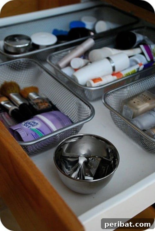 Makeup Drawer Cleanup - 150 Dollar Store Organizing Ideas and Projects for the Entire Home