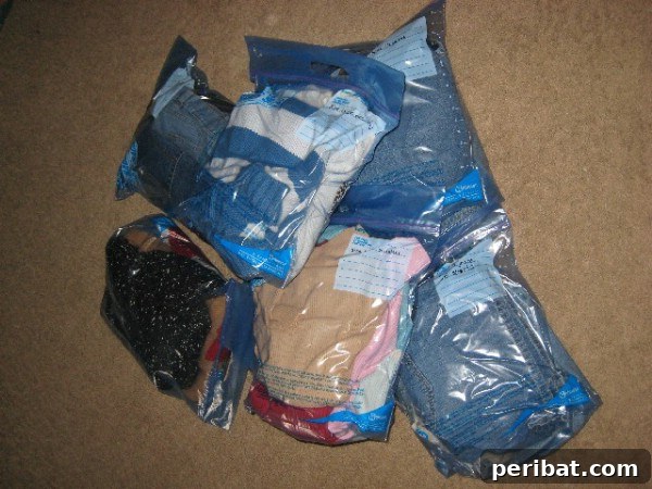 Large Ziploc Bags Work Great for Organizing - 150 Dollar Store Organizing Ideas and Projects for the Entire Home