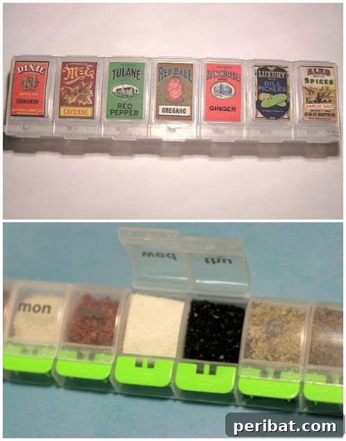 Portable Spice Kit Organizer - 150 Dollar Store Organizing Ideas and Projects for the Entire Home