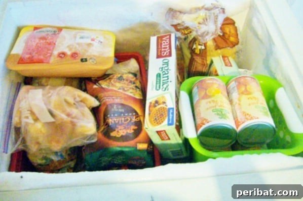 Cheap Freezer Organization - 150 Dollar Store Organizing Ideas and Projects for the Entire Home