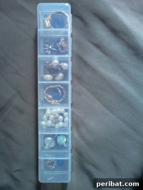 Keep Jewelry Organized While Traveling - 150 Dollar Store Organizing Ideas and Projects for the Entire Home