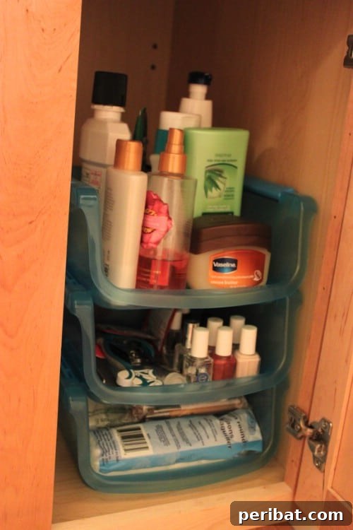 Organize the Bathroom for Under $20 - 150 Dollar Store Organizing Ideas and Projects for the Entire Home