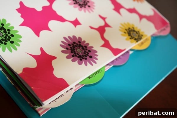 Binders and Dividers Save Time and Organize Bills - 150 Dollar Store Organizing Ideas and Projects for the Entire Home
