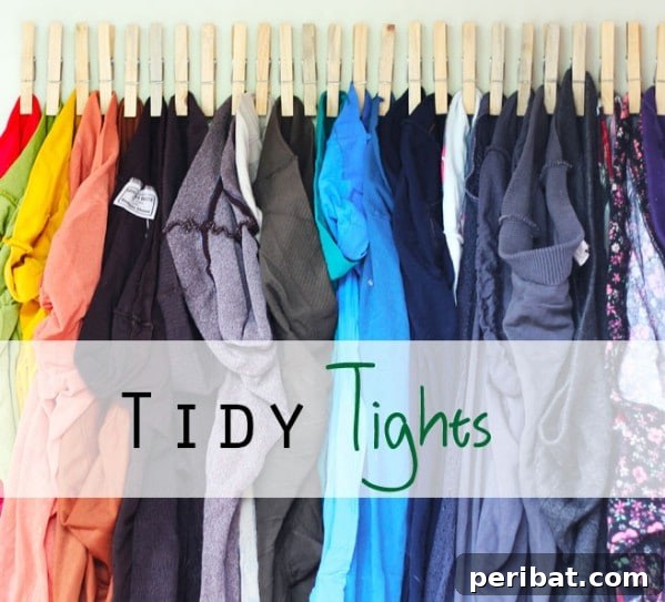 Hanging Organizer for Tights - 150 Dollar Store Organizing Ideas and Projects for the Entire Home