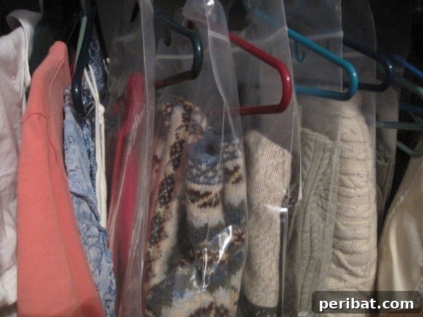 Store Sweaters Safely and Save Space - 150 Dollar Store Organizing Ideas and Projects for the Entire Home