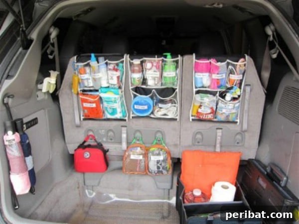 Keep Traveling Supplies Handy and Organized - 150 Dollar Store Organizing Ideas and Projects for the Entire Home