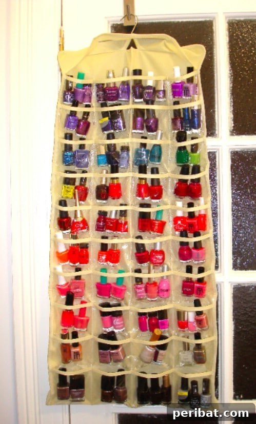 Cheap Storage Solution for Nail Polish - 150 Dollar Store Organizing Ideas and Projects for the Entire Home
