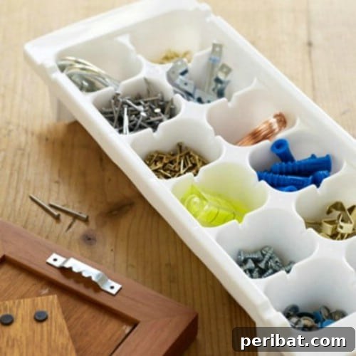 Organize Tool Supplies with Ice Cube Trays - 150 Dollar Store Organizing Ideas and Projects for the Entire Home