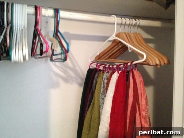 Handy Scarf Organizer from Shower Rings - 150 Dollar Store Organizing Ideas and Projects for the Entire Home