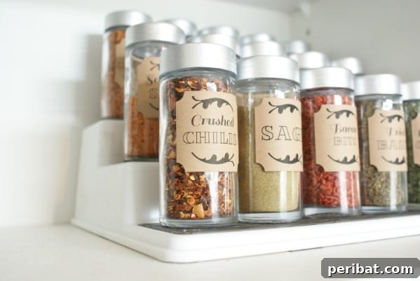 Spice Organization and Printables - 150 Dollar Store Organizing Ideas and Projects for the Entire Home