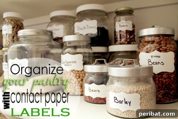 Get Your Pantry Organized - 150 Dollar Store Organizing Ideas and Projects for the Entire Home
