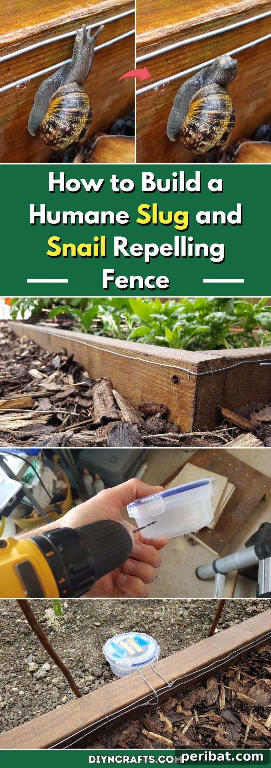 How to Build a Humane Slug and Snail Repelling Fence: A DIY Guide for Gardeners