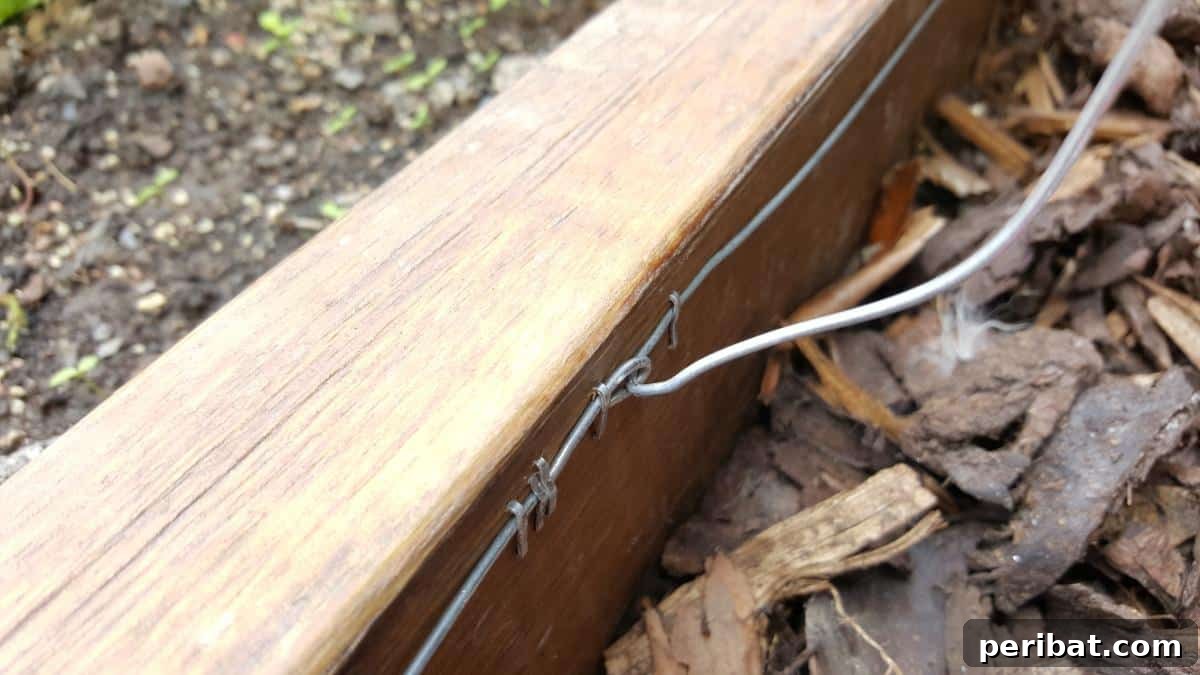 How to Build a Humane Slug and Snail Repelling Fence: Securing the First Wire