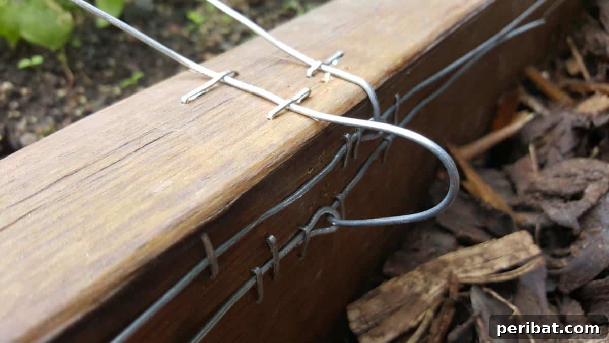 How to Build a Humane Slug and Snail Repelling Fence: Adding the Second Wire
