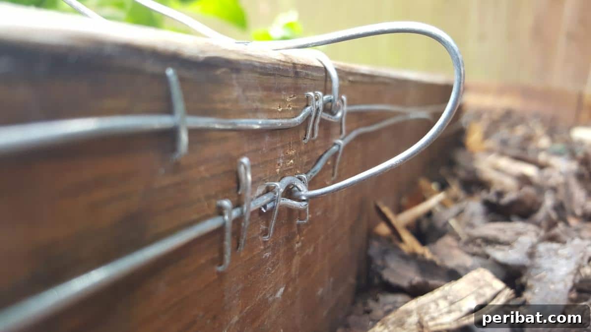 How to Build a Humane Slug and Snail Repelling Fence: Ensuring Wire Separation