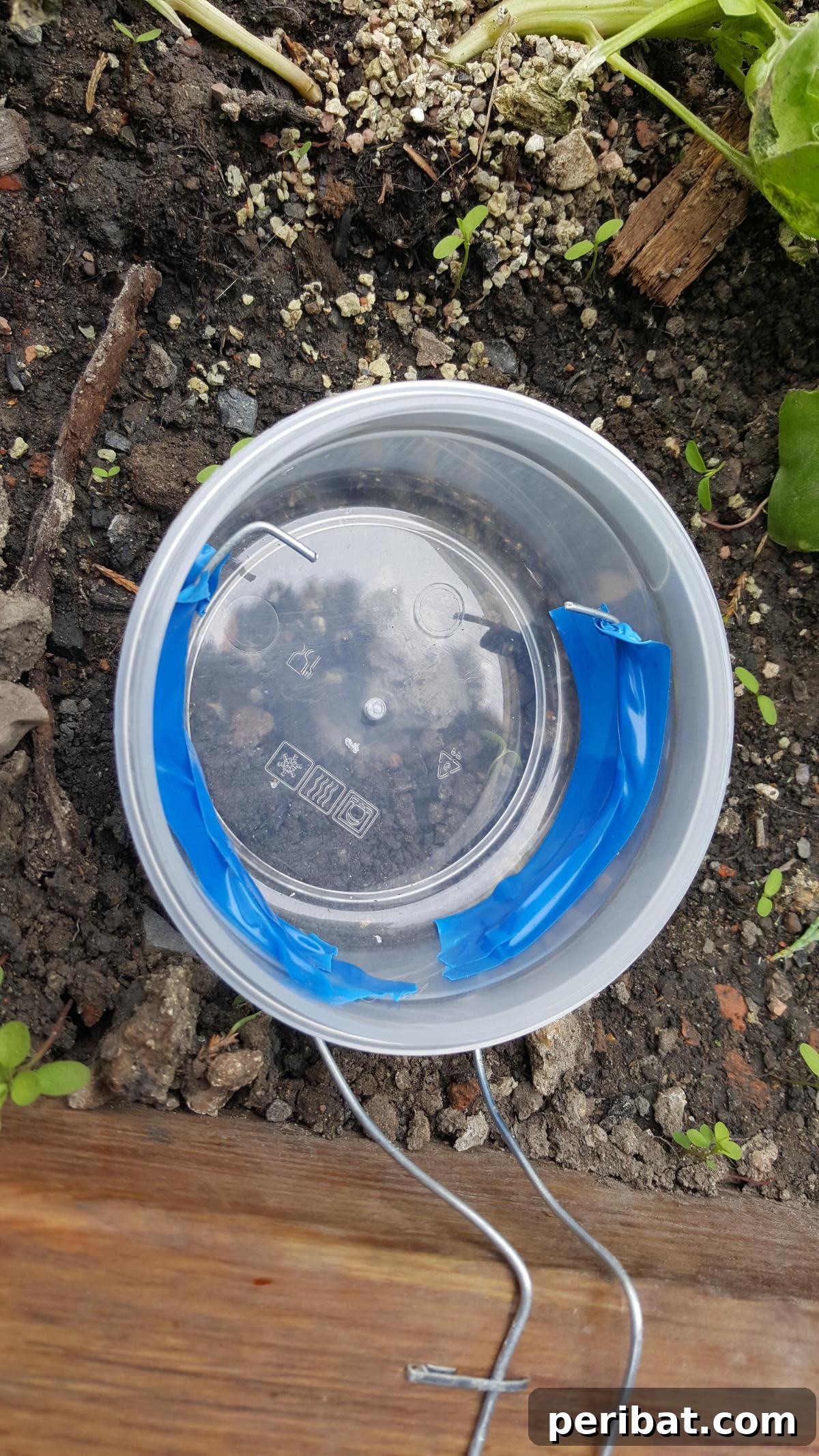 How to Build a Humane Slug and Snail Repelling Fence: Battery Connection