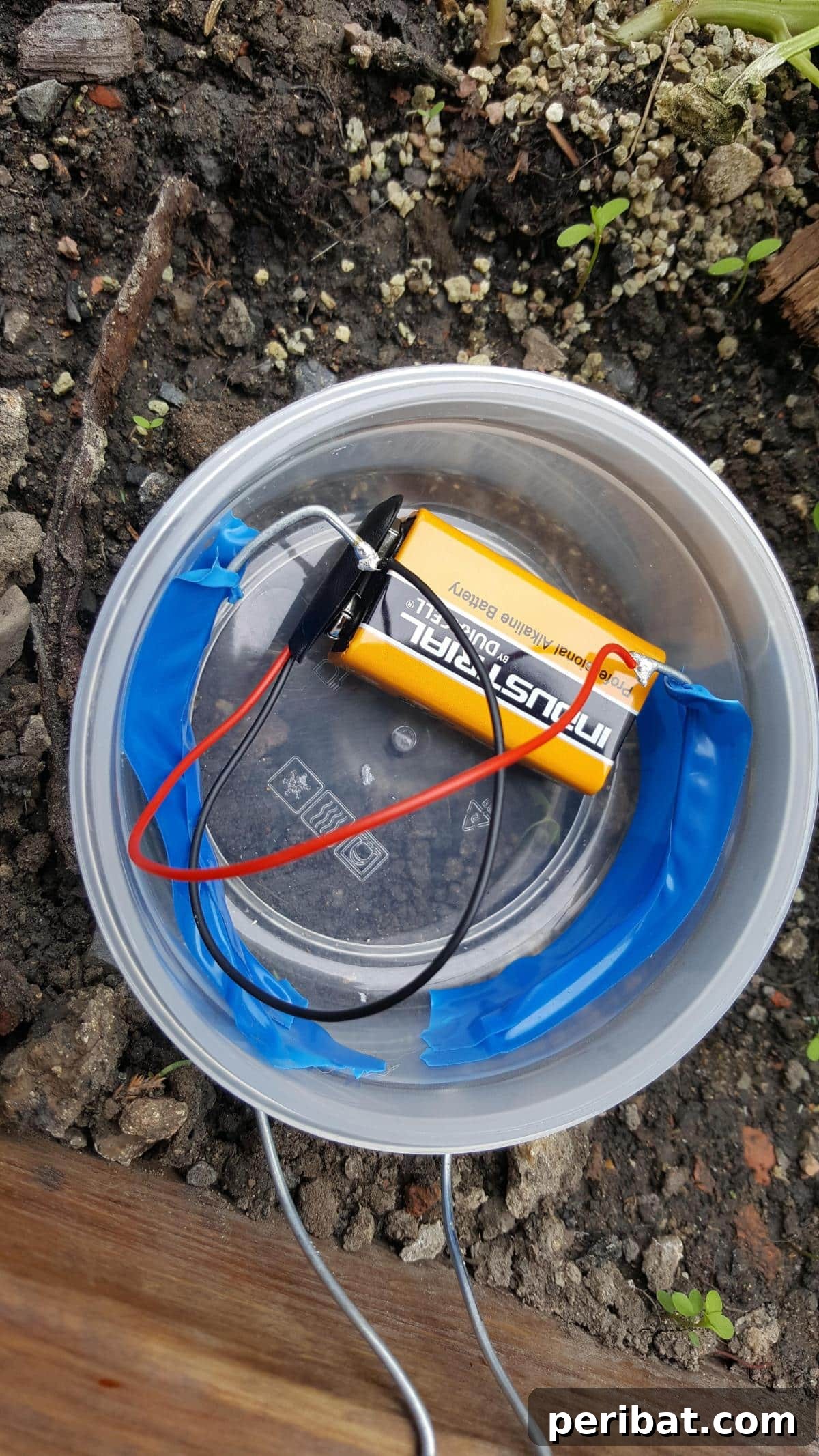 How to Build a Humane Slug and Snail Repelling Fence: Secure Wiring Inside