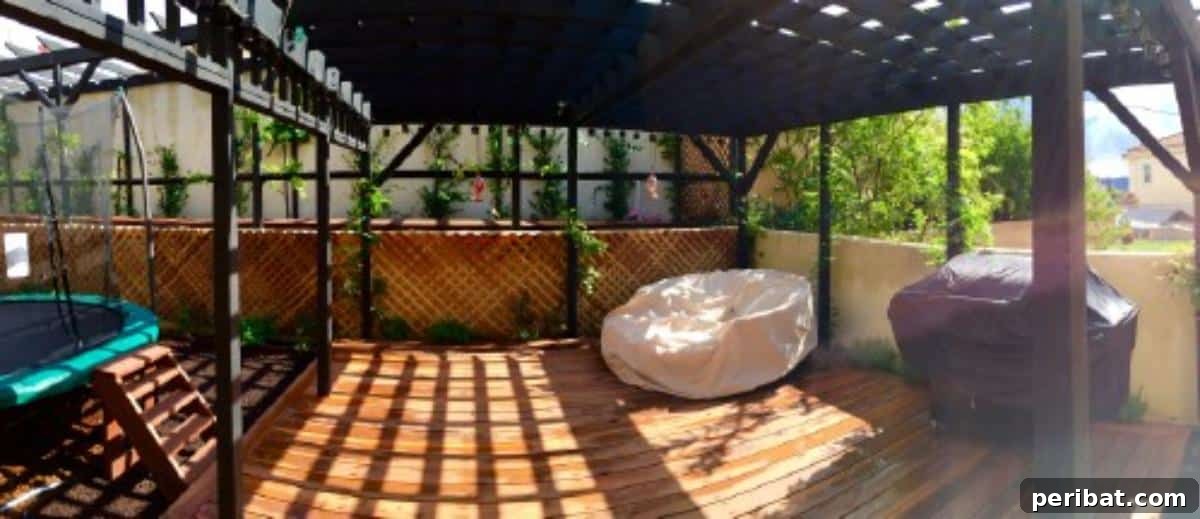 Craft Your Dream Yard: A Pinterest-Inspired DIY Adventure 3 Steps - Ultimately Fun DIY Pinterest Inspired Backyard Transformation - Early Construction