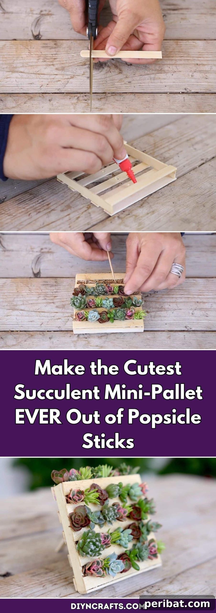 Make the Cutest Succulent Mini-Pallet EVER Out of Popsicle Sticks pinterest image
