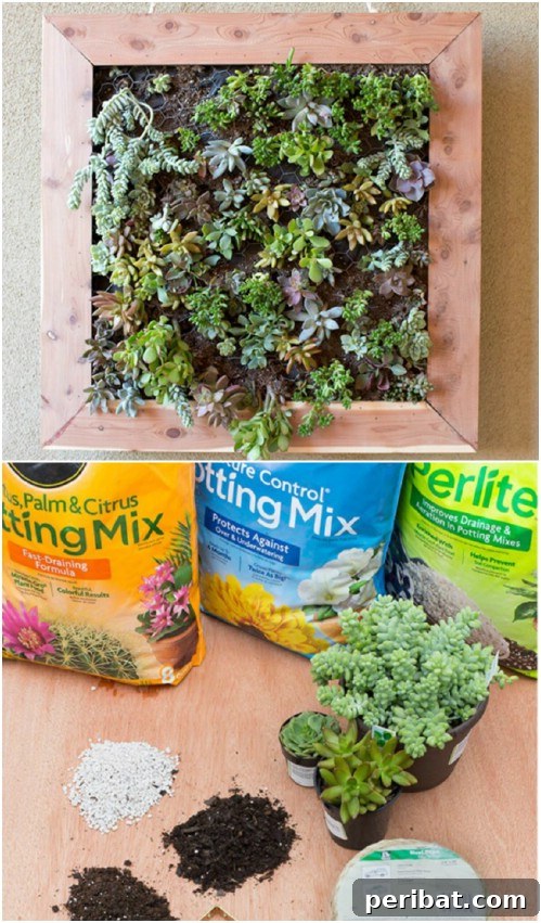 Stunning Fence Decor Ideas to Beautify Your Yard 4 Vertical Succulent Garden on a Fence