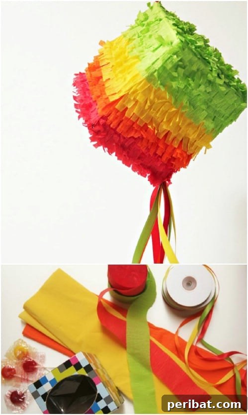 DIY Tissue Box Piñata