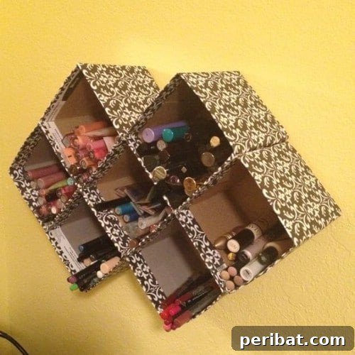 Repurposed Tissue Box Storage