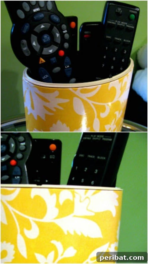 Living Room Remote Holder