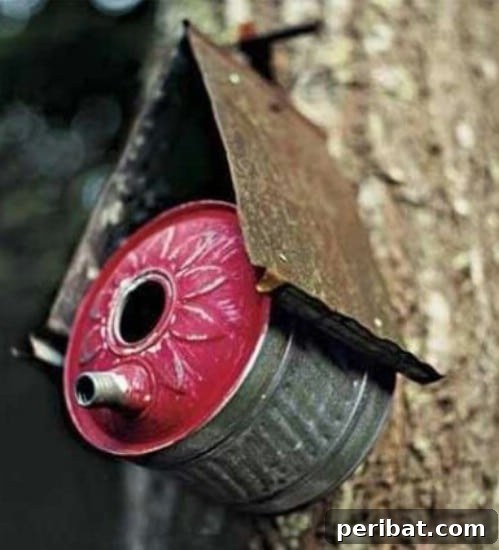 Unique Birdhouses Crafted from Various Recycled Materials
