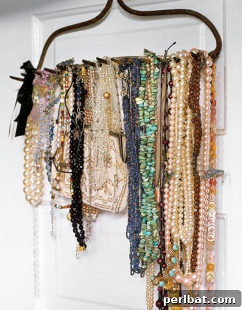 Stylish Necklace and Scarf Organizer from a Rake Head