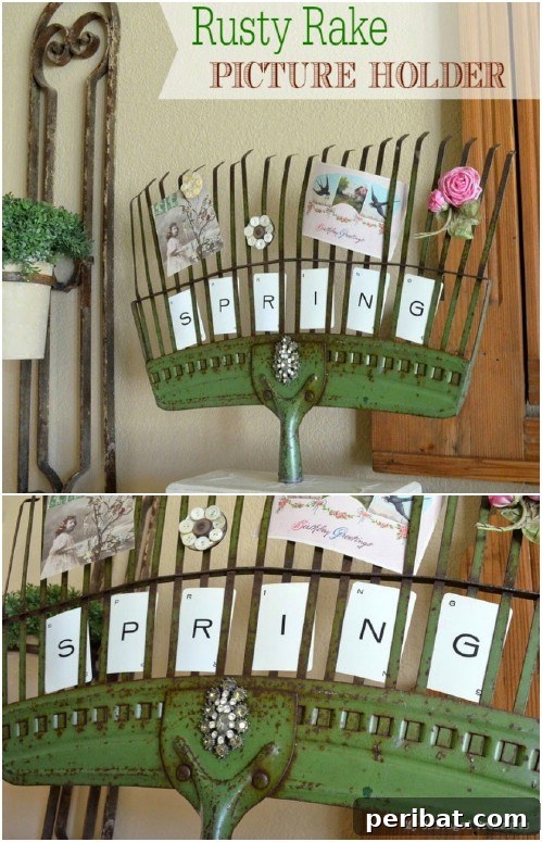 Creative Photo Display from an Upcycled Leaf Rake