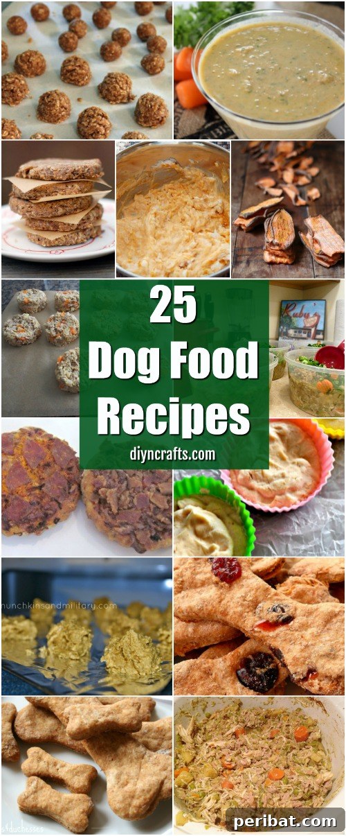 25 Tail-Wagging Homemade Healthy Dog Food Recipes Your Pup Will Adore 2 25 Lip Smacking Homemade Healthy Dog Food Recipes Your Pooch Will Love
