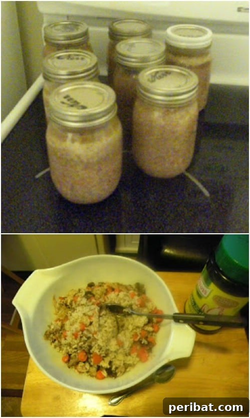 25 Tail-Wagging Homemade Healthy Dog Food Recipes Your Pup Will Adore 11 Frugal Home Canned Dog Food for Long-Term Storage