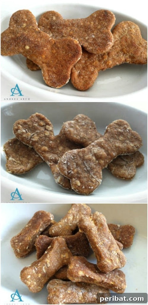 25 Tail-Wagging Homemade Healthy Dog Food Recipes Your Pup Will Adore 12 Peanut Butter And Oat Dog Cookies - Easy Homemade Treats
